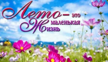 РОДИТЕЛЯМ НА ЗАМЕТКУ Лето &mdash; это целая маленькая жизнь!